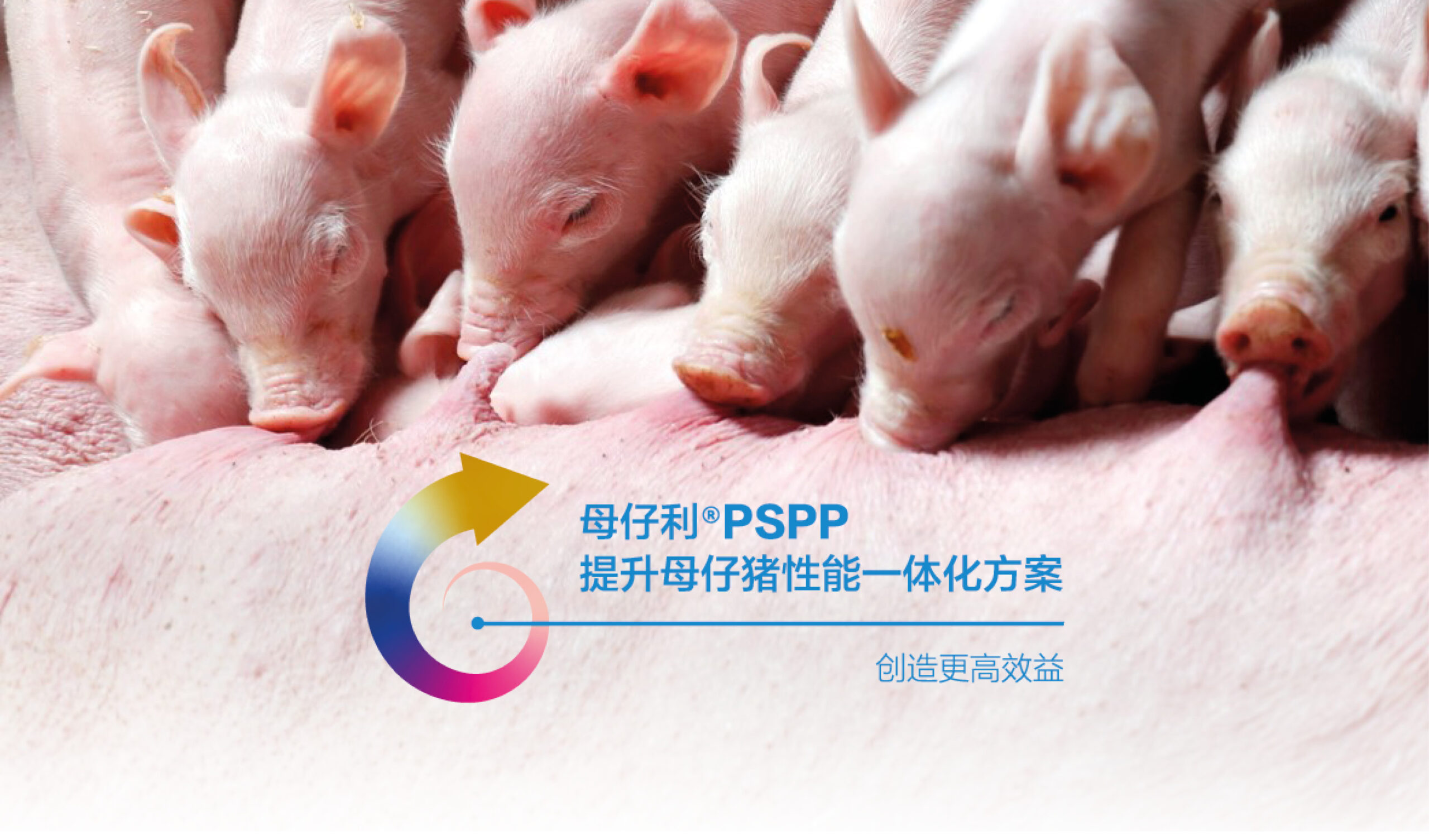 母仔利®PSPP一体化方案