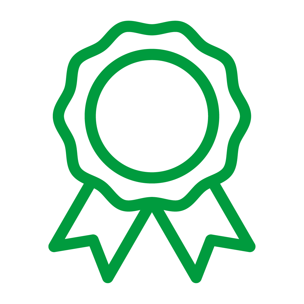 Premium icon green