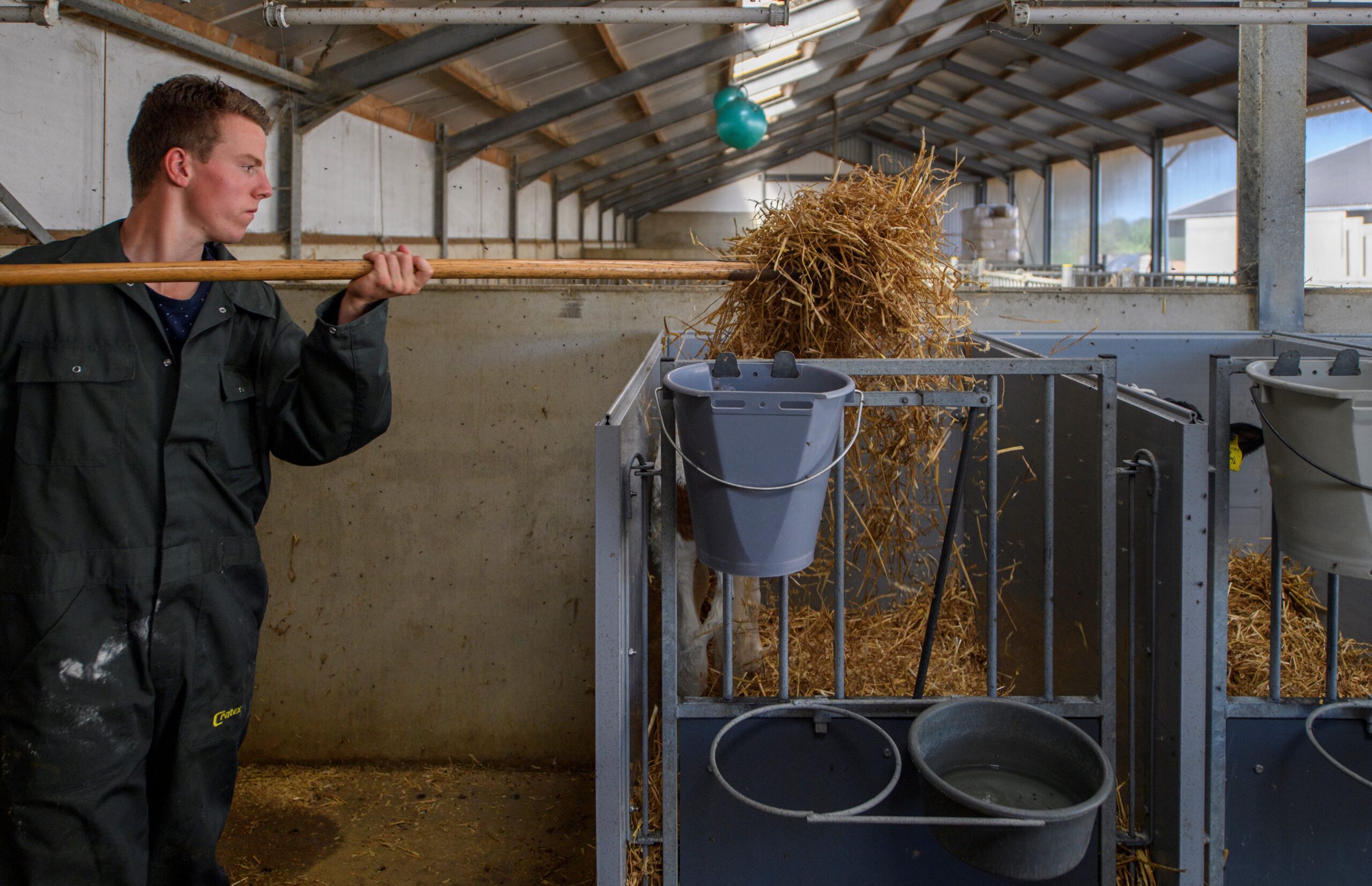 Farner cleaning a stable