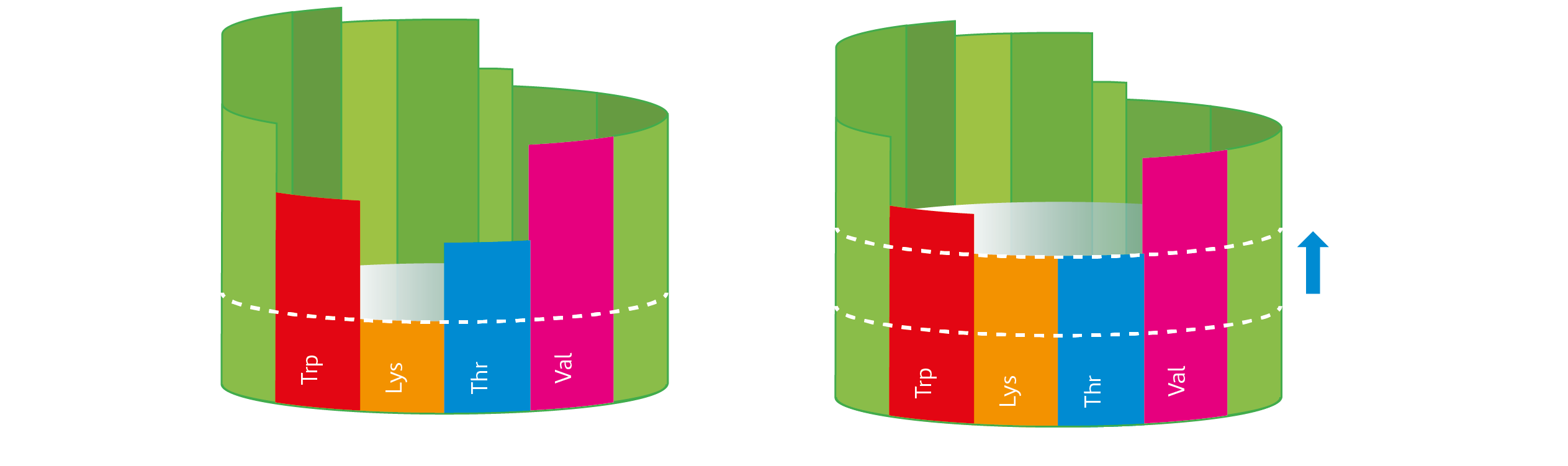 limiting amino acids